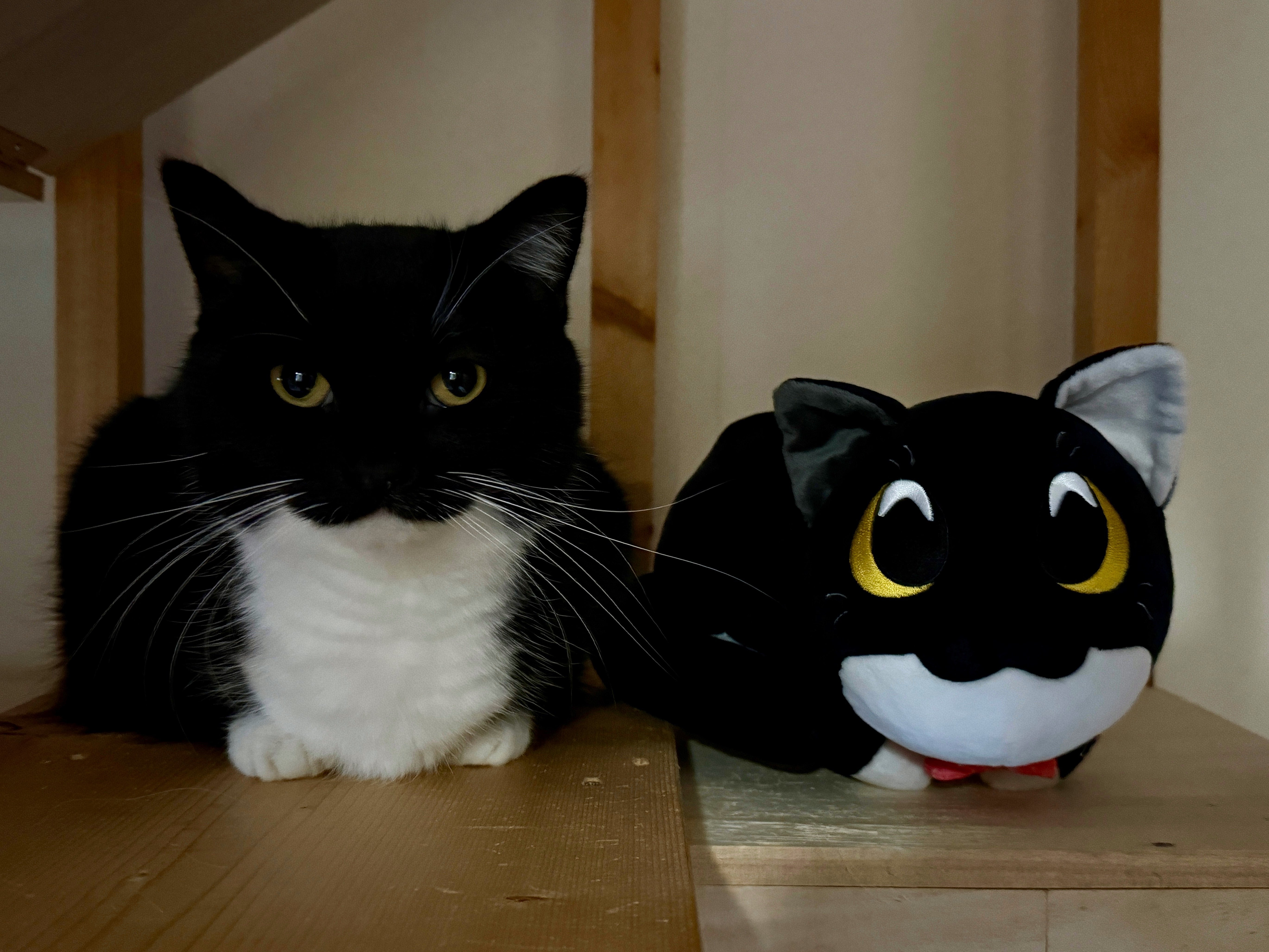 Uni V3 Plush (9in) - Image 2