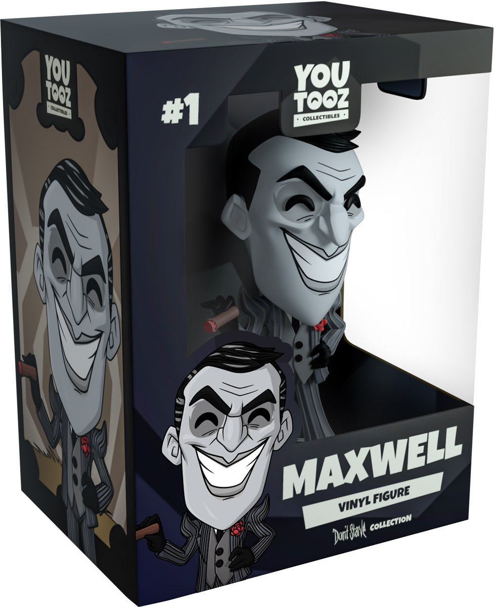 Alternative view of Maxwell