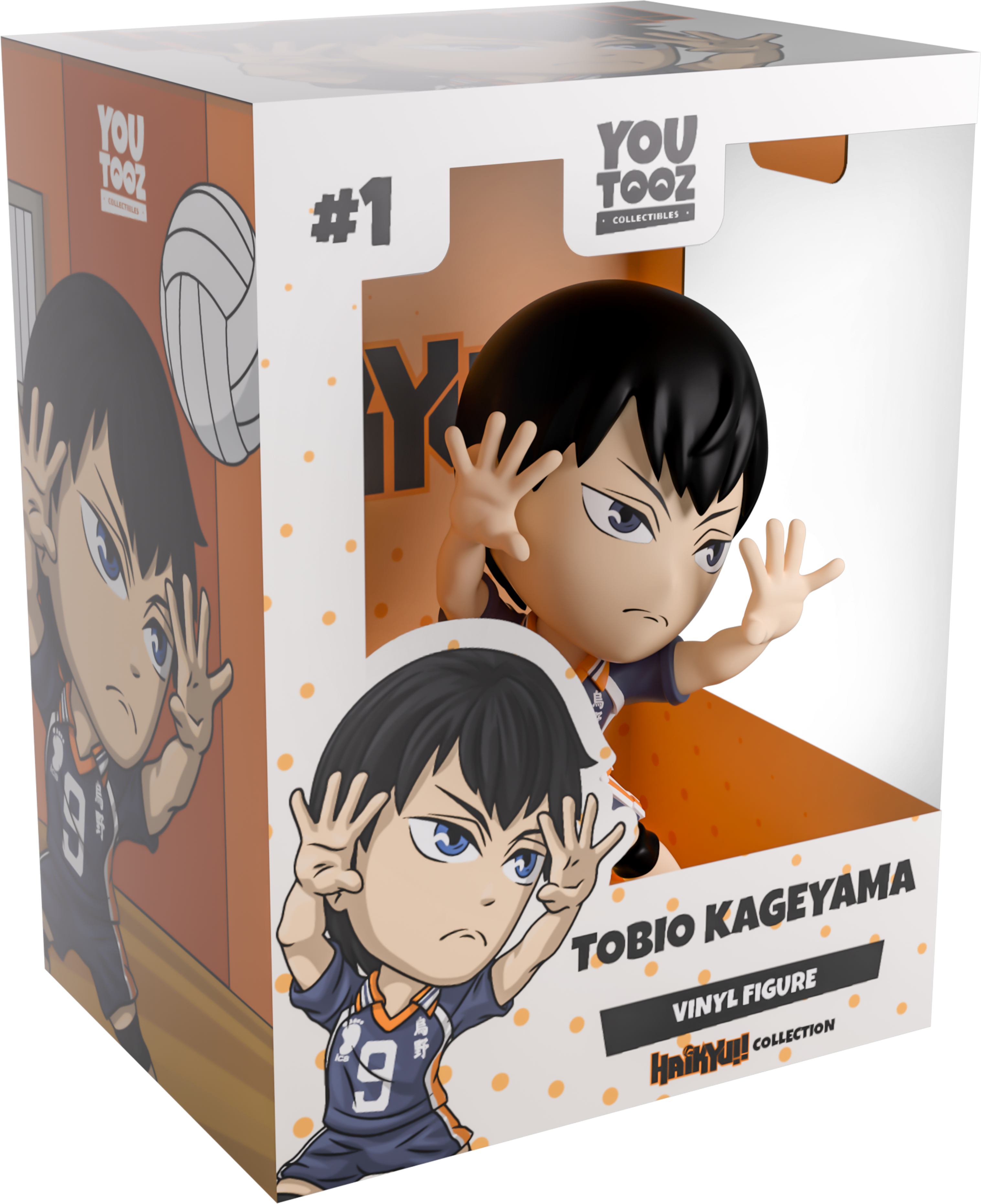 Alternative view of Tobio Kageyama