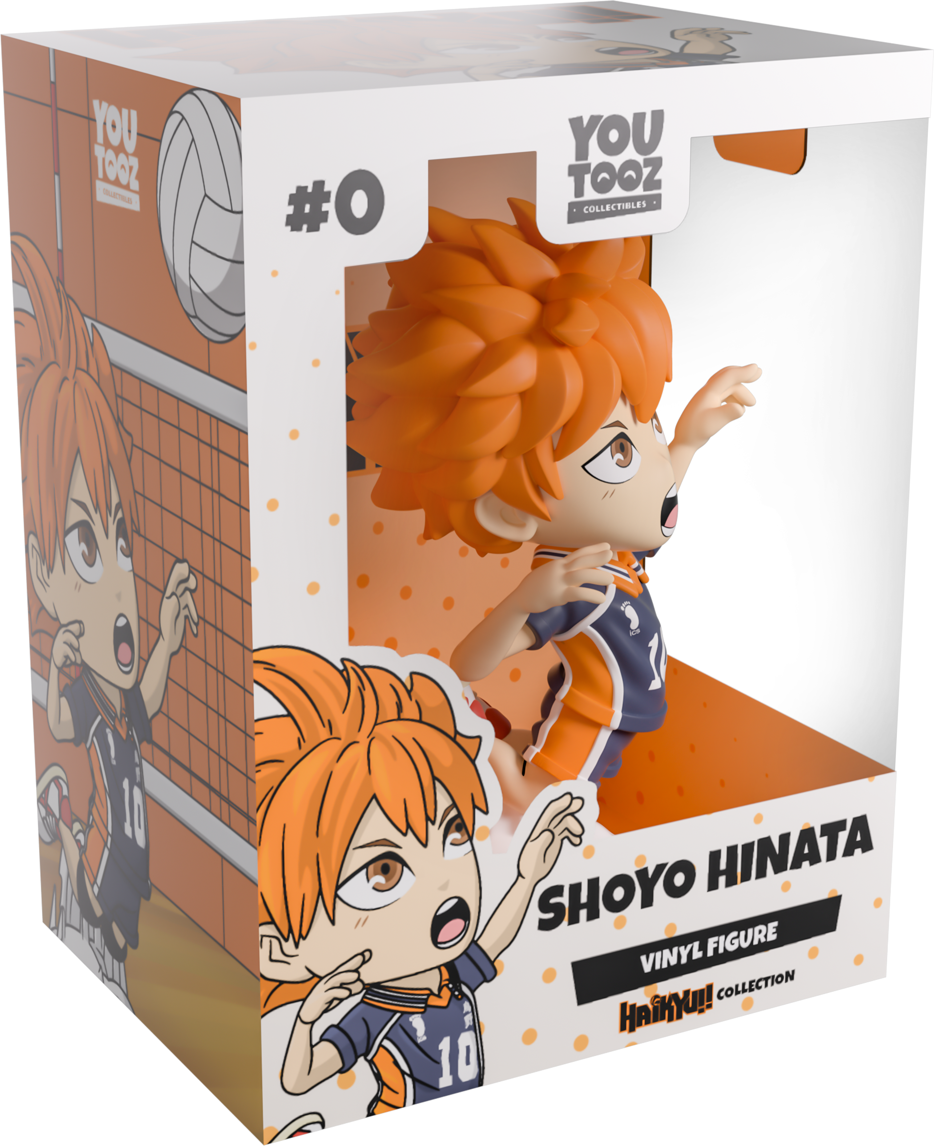Alternative view of Shoyo Hinata