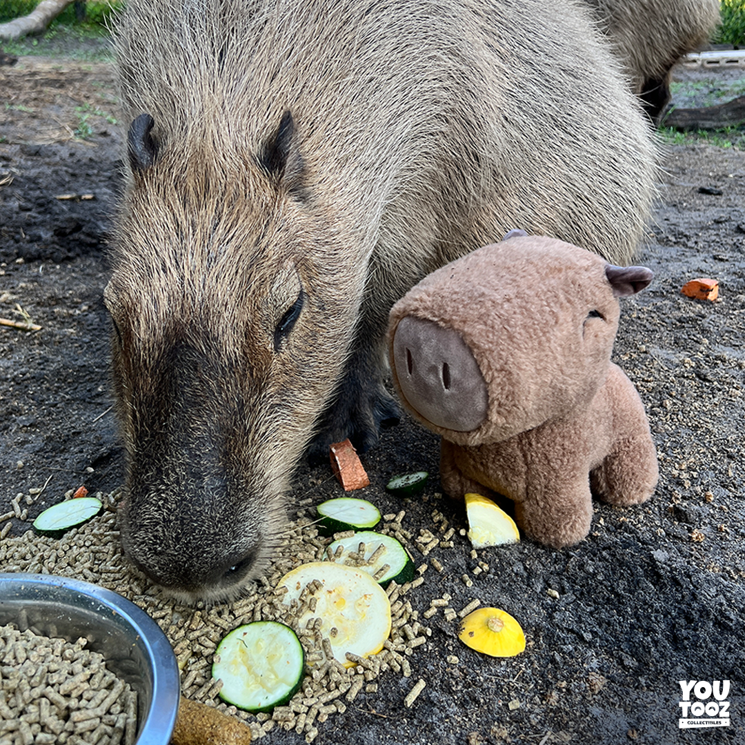 Capybara Plush (9in) - Image 4