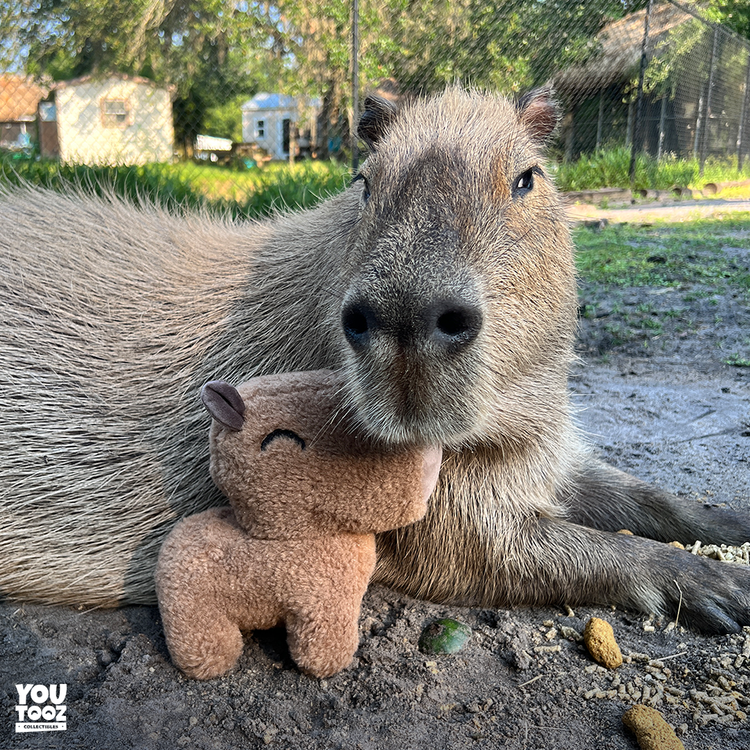 Capybara Plush (9in) - Image 3
