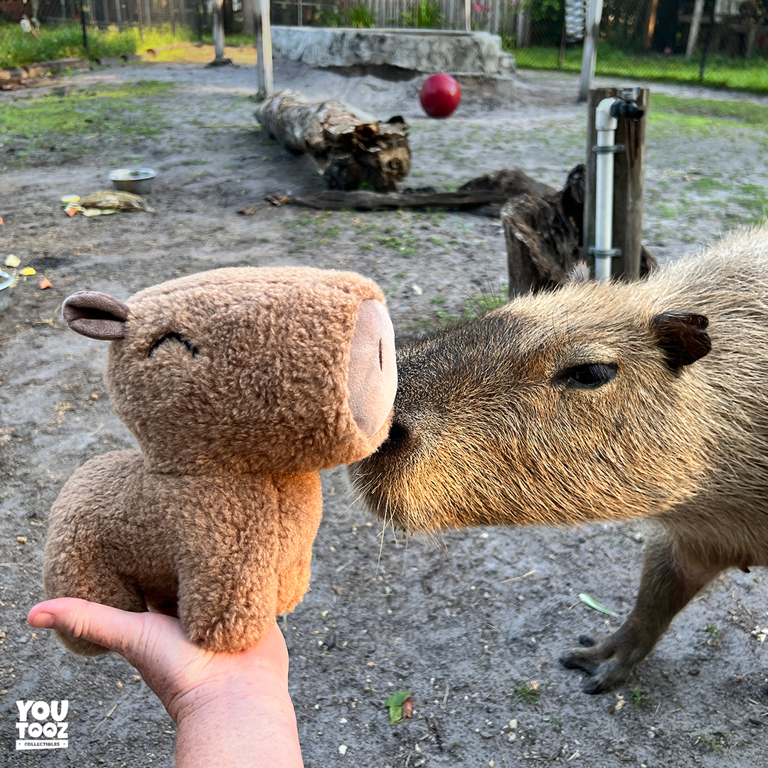 Alternative view of Capybara Plush (9in)