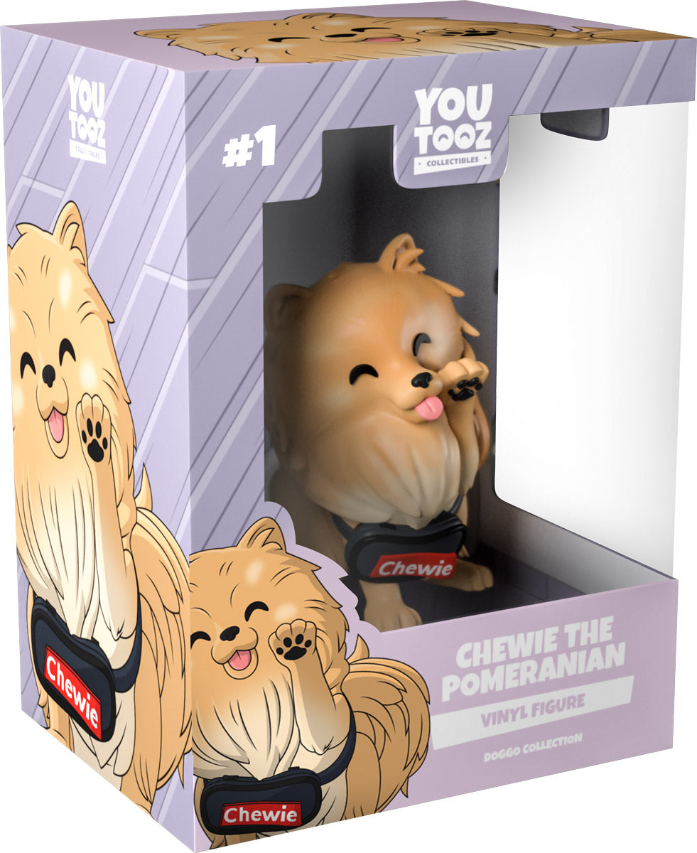 Alternative view of Chewie the Pomeranian
