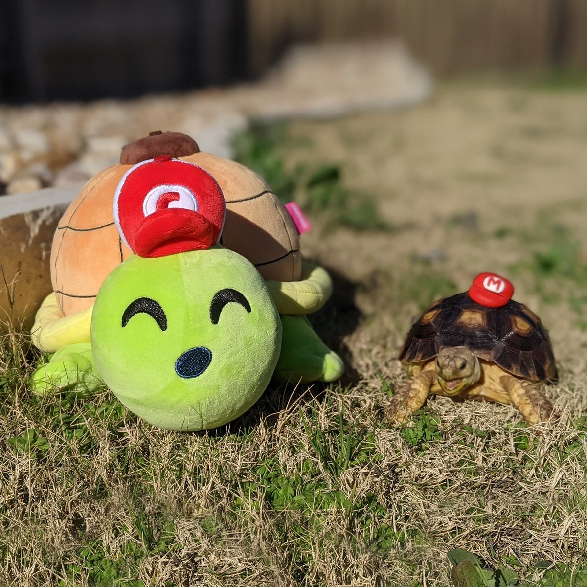 Chilled Chaos Plush (1ft) - Image 6