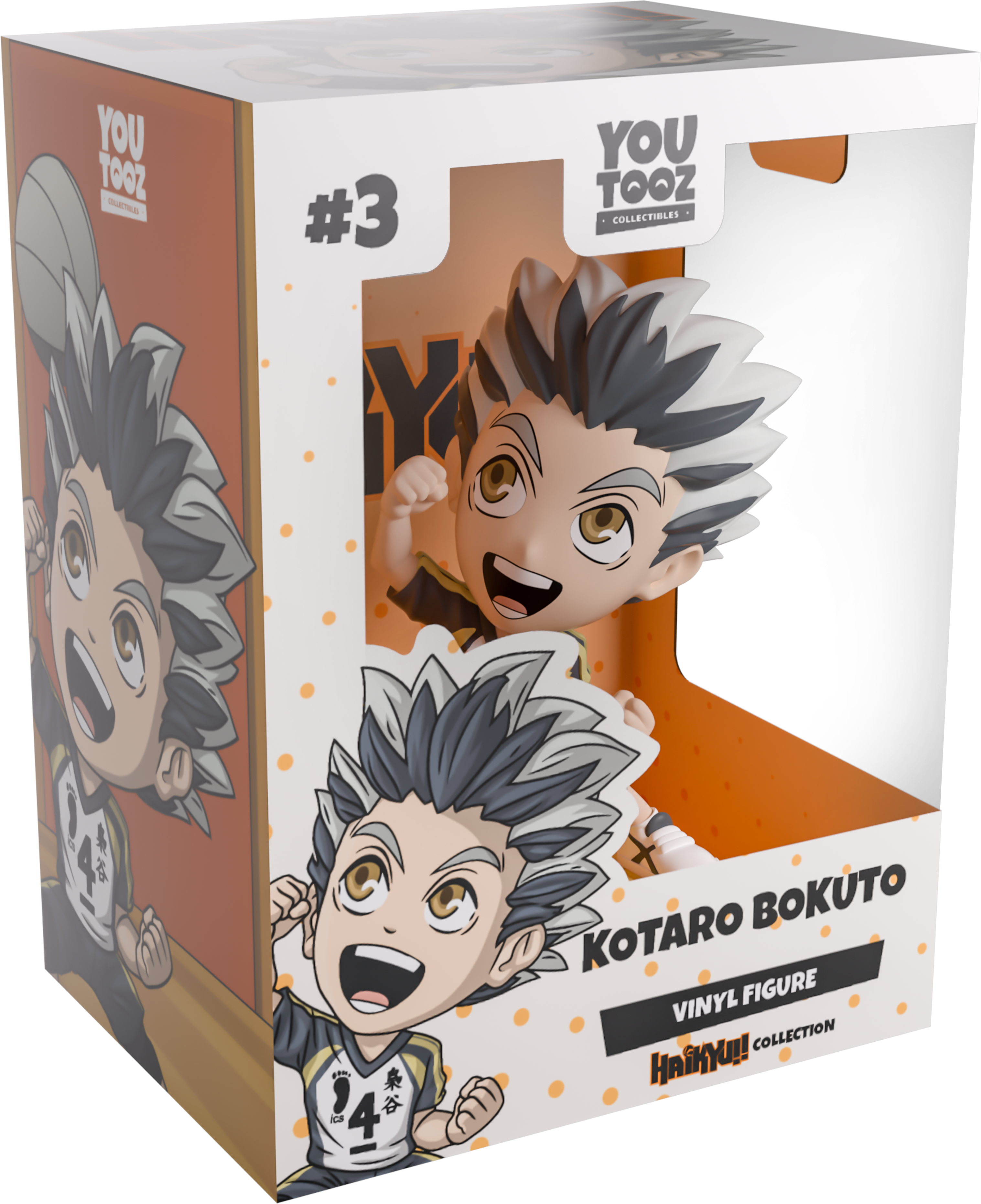 Alternative view of Kotaro Bokuto