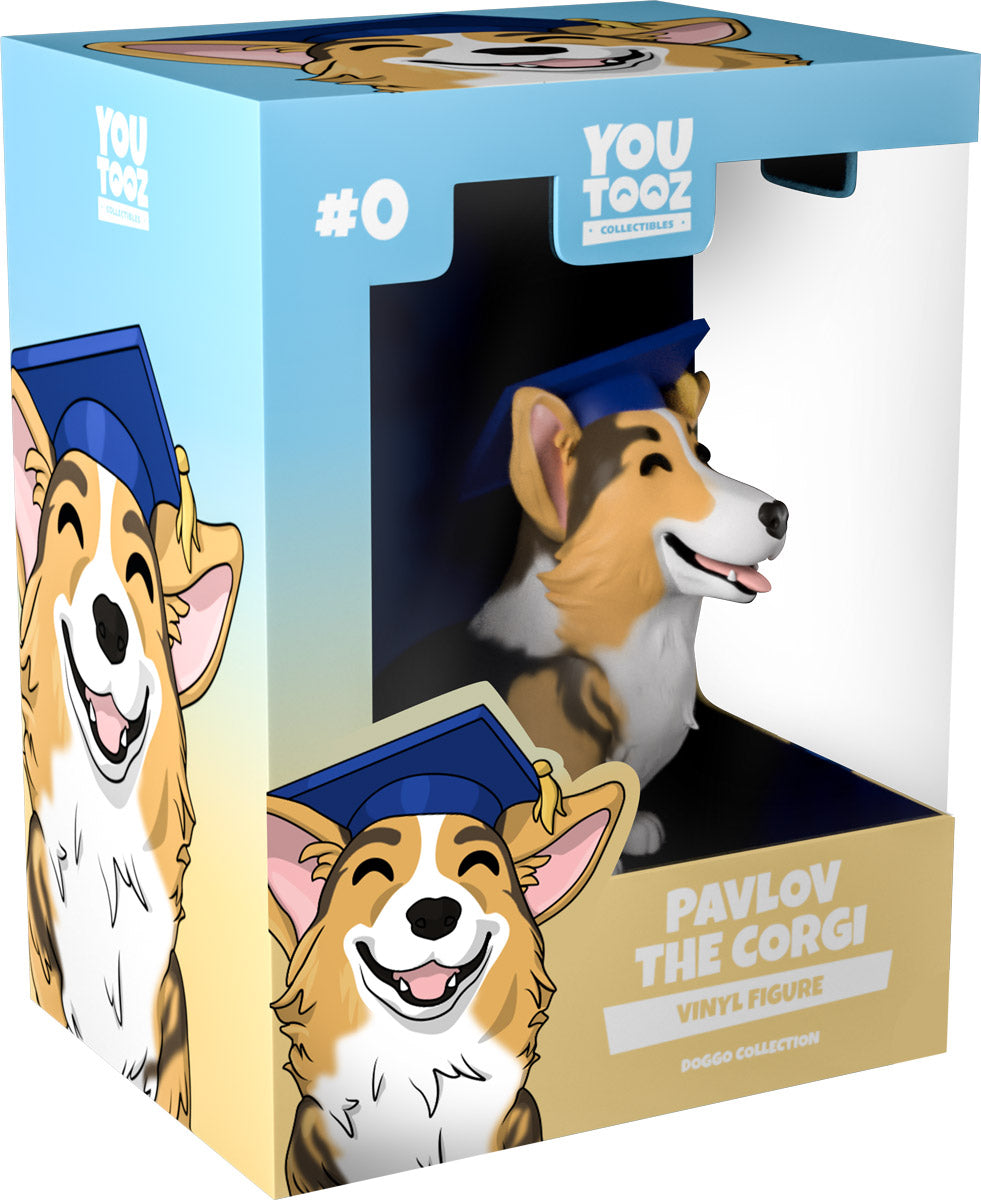 Alternative view of Pavlov the Corgi