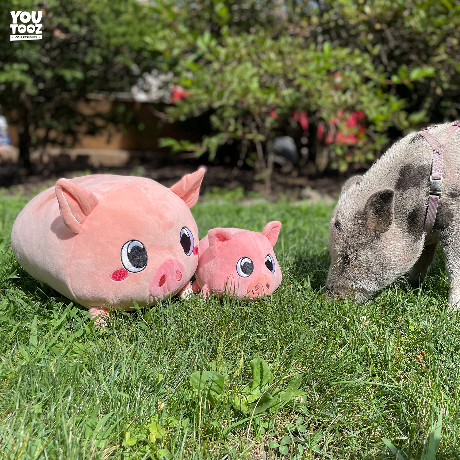 Piggy Pillow (1ft) - Image 5