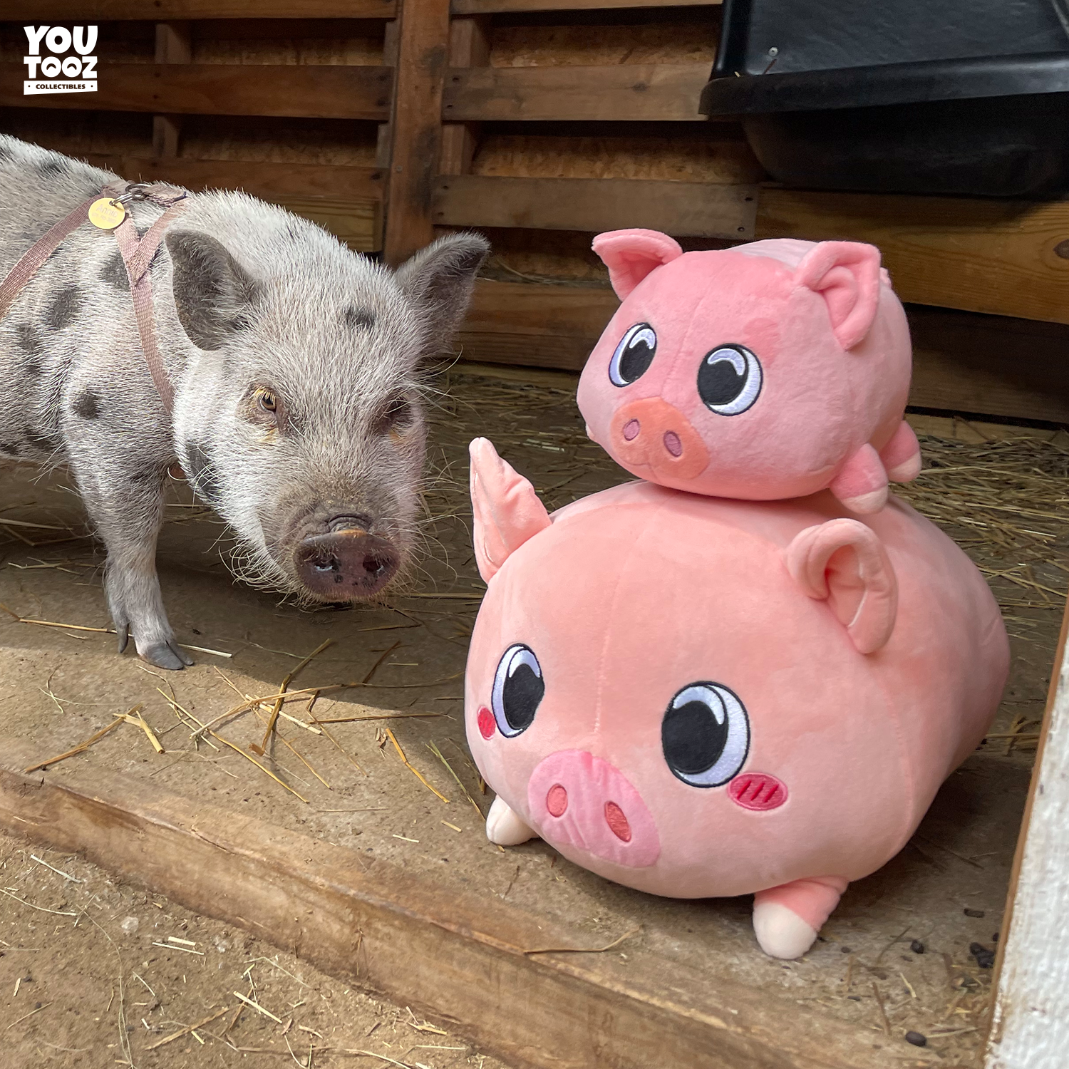 Piggy Pillow (1ft) - Image 6