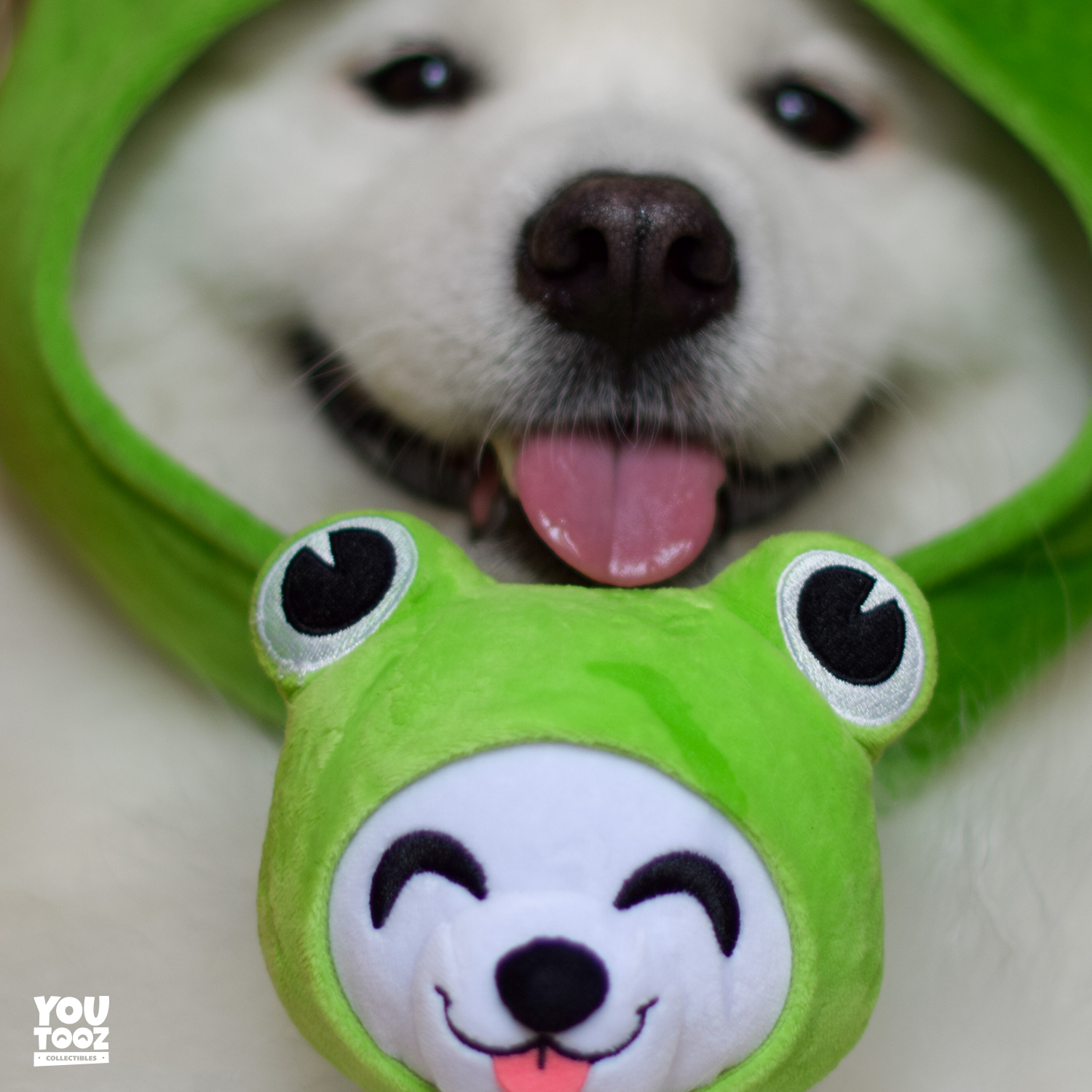 Shiro Froggy Plush (6in) - Image 6