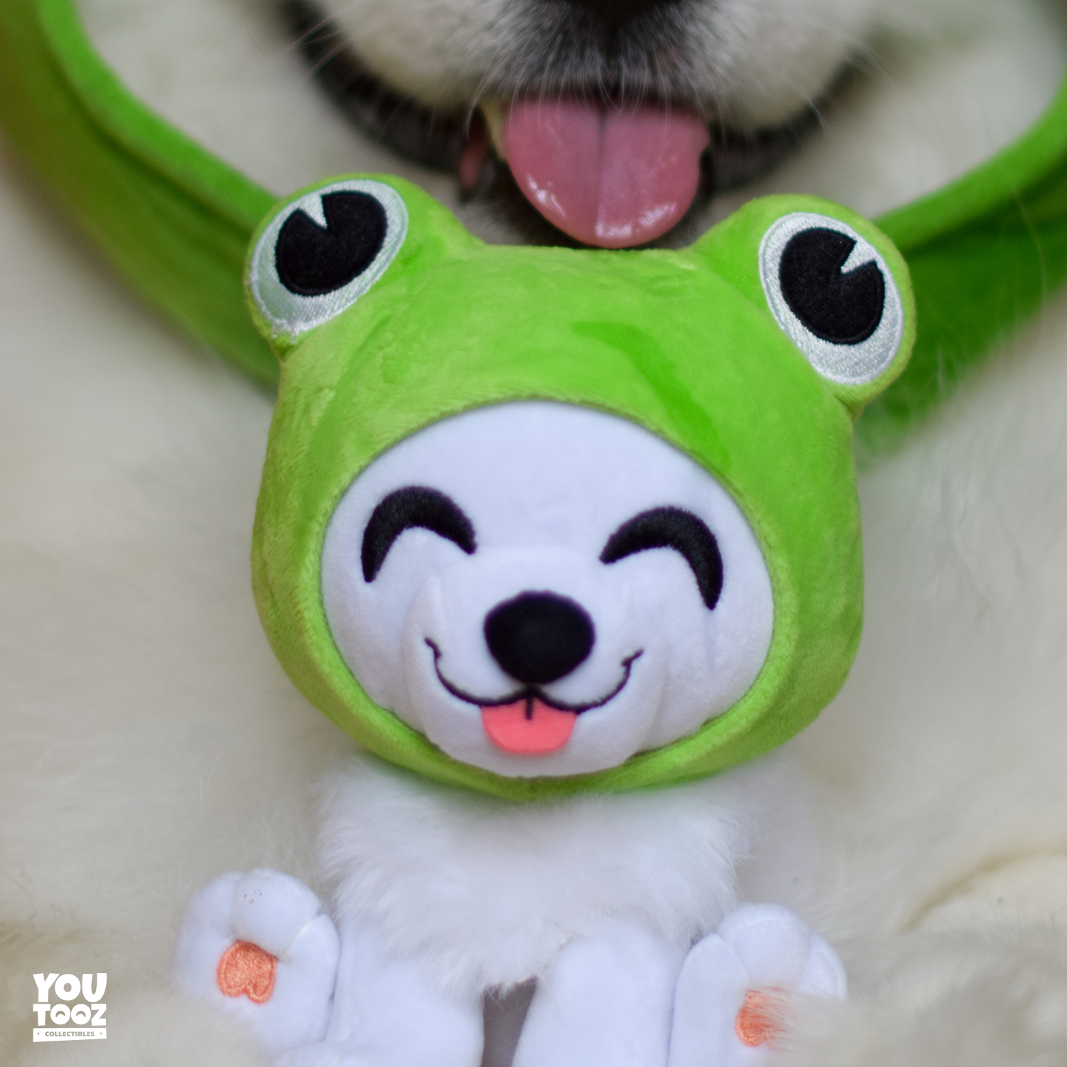 Shiro Froggy Plush (6in) - Image 7