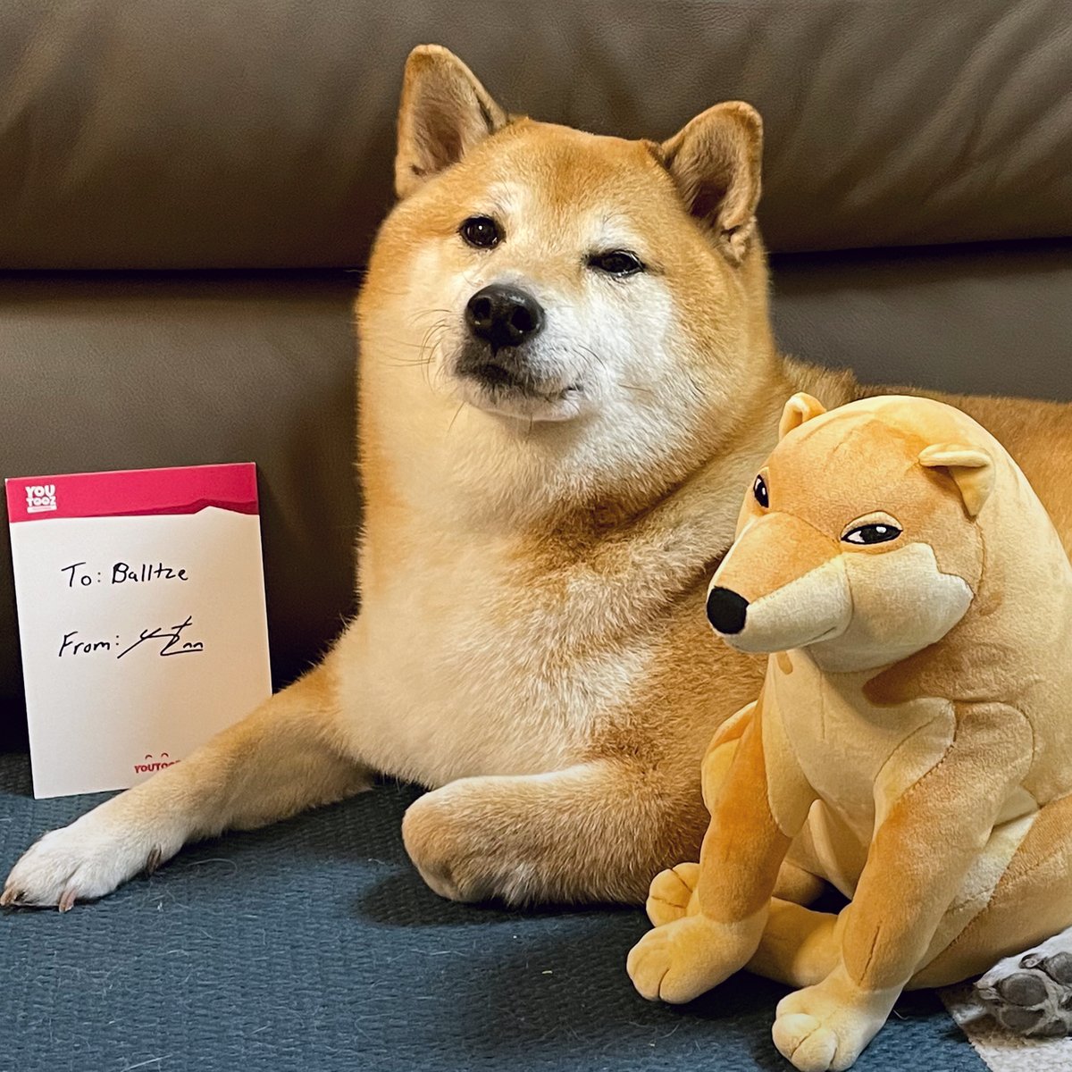 Cheems Plush (1ft) - Image 4