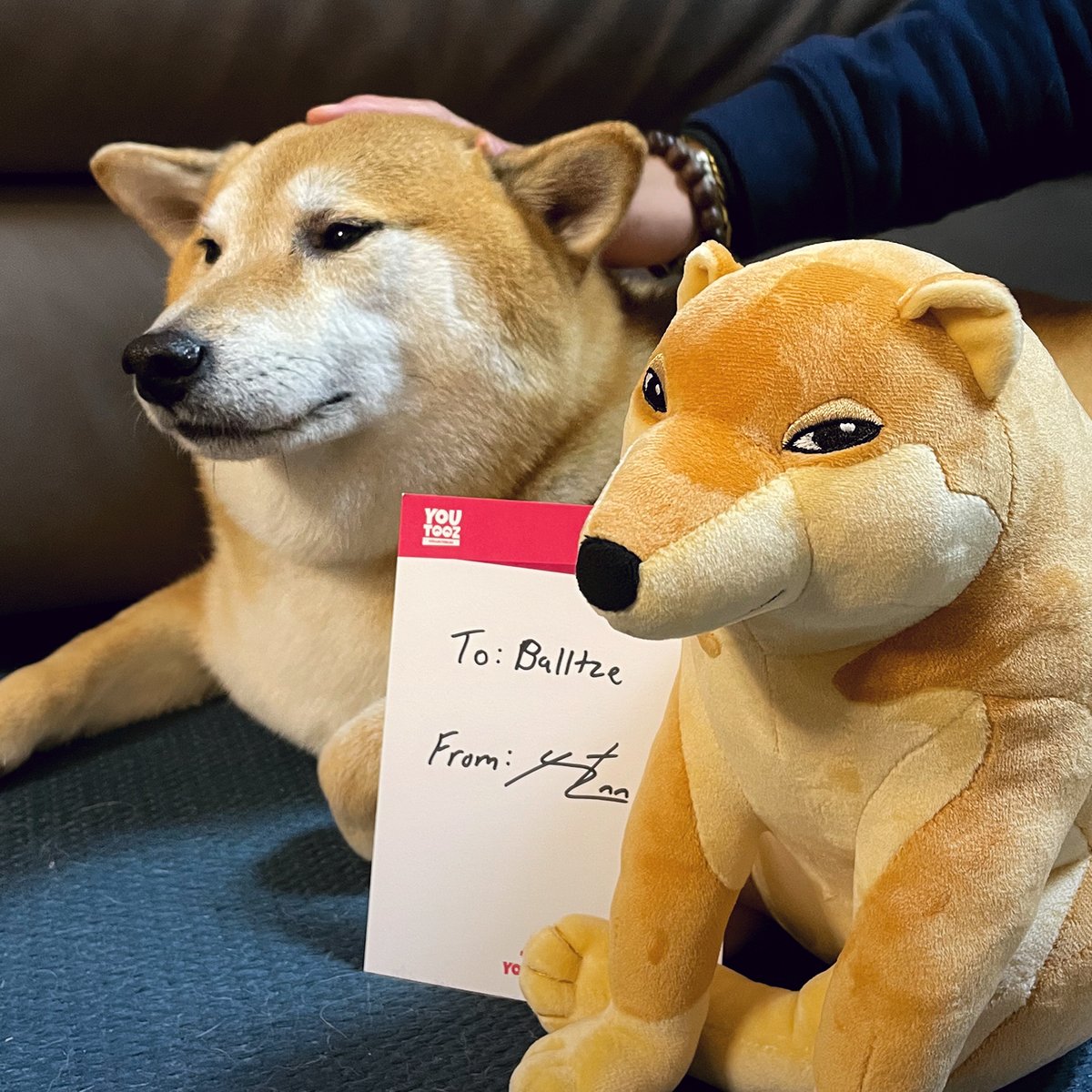 Cheems Plush (1ft) - Image 5