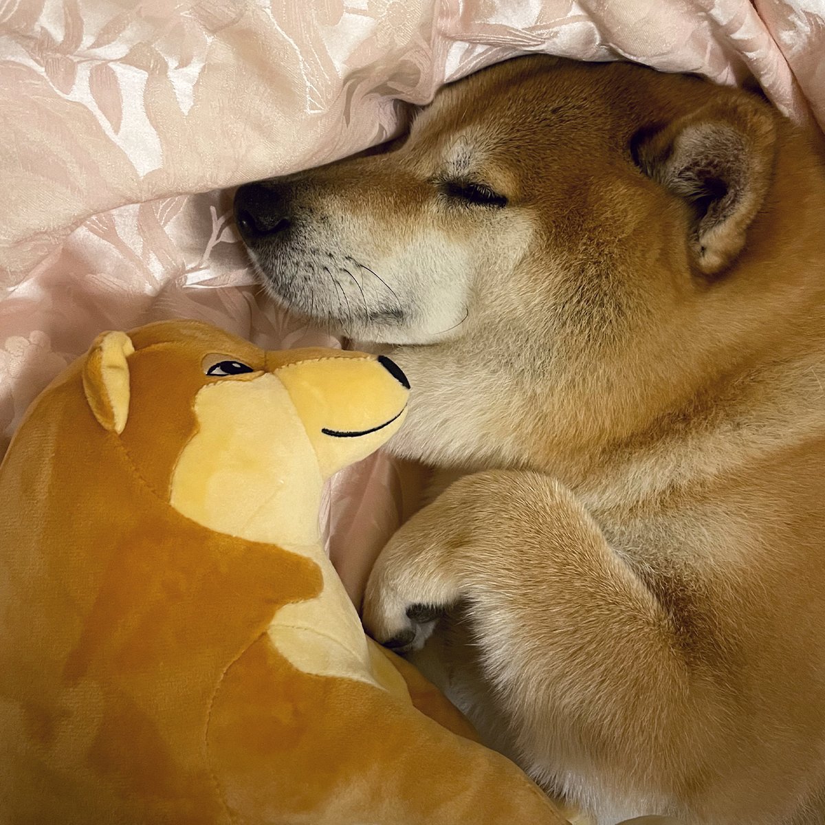 Cheems Plush (1ft) - Image 6